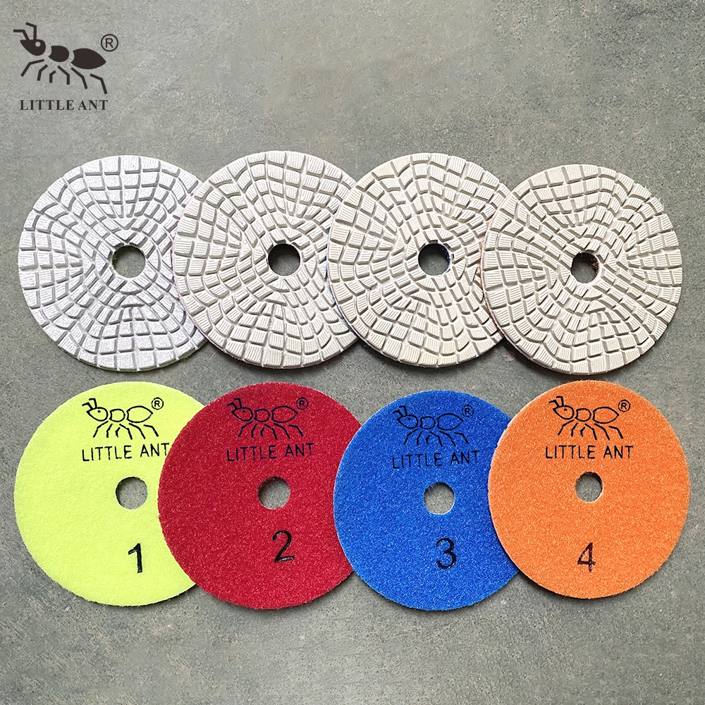 _0011_H3WP4-BL Little Ant